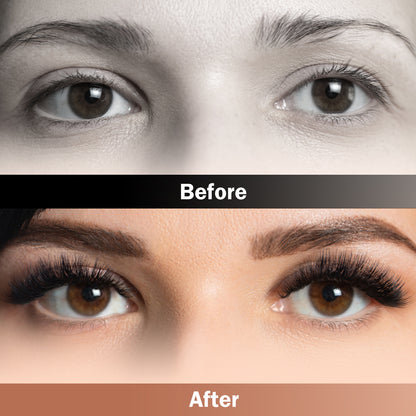 Venus Whisper Lash Clusters Kit